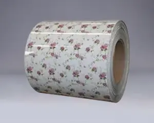 سیم پیچ فولادی DX51D DX52D DX53D PPGI PPGL